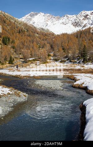 Mann Wandern in der Nähe des Flusses Duino, in der Preda Rossa Tal Landschaft im Spätherbst, mit dem ersten Schnee an einem sonnigen Tag. Val Masino, Lombardei, Italien. Ve Stockfoto