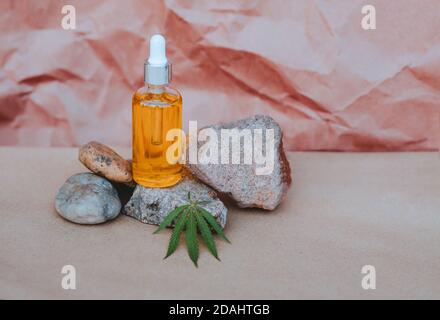 Glasflaschen und tropfenweise CBD-ÖL, THC-Tinktur und Cannabisblätter auf pastellfarbenem Hintergrund. Laborproduktion von Kosmetika. Stockfoto