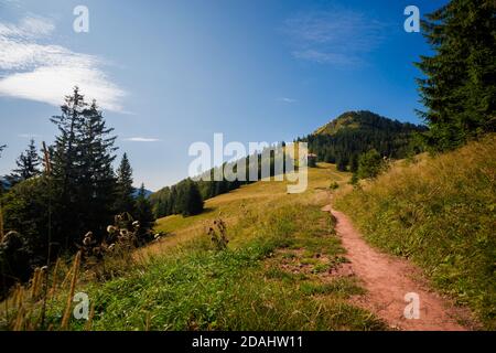 Schöner Weg nach Borisov und Ploska - in der slowakischen Velka Fatra. Sonniges Herbstpanorama. Stockfoto