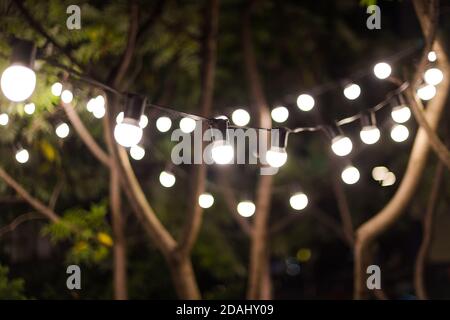 Verschwommener Hintergrund, Hinterhofbeleuchtung, Licht im Abendgarten, elektrische Laternen mit rundem Diffusor. Lampe Girlande der Glühbirnen auf dem Baum Stockfoto
