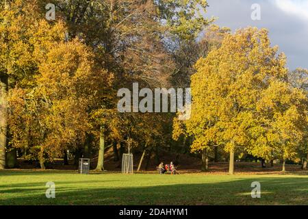 Herbstfarben in Abington Park, Northampton, Großbritannien Stockfoto