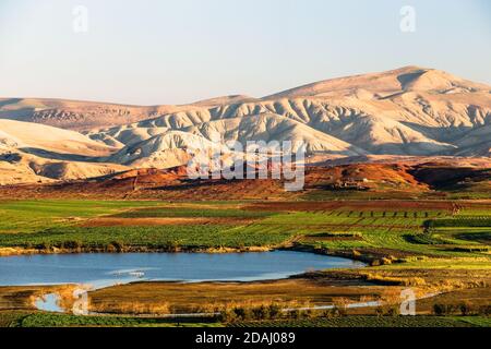 Landschaftlich schöner Blick auf einen See umgeben von grünem Gras und Pflanzen gegen die Wüstendüne. Der klimatische Übergang vom Mittelmeer zur Wüste, Fes, Marokko Stockfoto