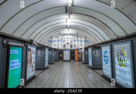 London, Großbritannien. 13. November 2020. Am frühen Morgen Rush-Hour in London mit einem ruhigen U-Bahn-System an der Pimlico Station. Quelle: Malcolm Park/Alamy Live News. Stockfoto