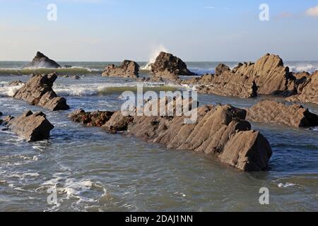 Blick auf die Felsvorsprünge am Welcombe Mouth Beach Die Grenze zwischen Devon und Cornwall Stockfoto