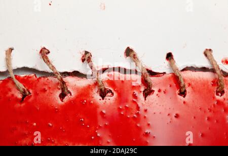 Flagge Polens - zwei Papierfetzen, die zusammengenäht sind. Symbol für politische Spaltungen und gespaltene Nation. Stockfoto