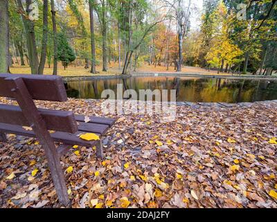 Bank auf Fußweg im Park voll von bunten Espen und Buchen Blätter. Stony Seeufer in der Nähe der Bank Stockfoto