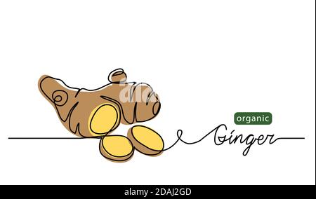 Ginger Vektorgrafik. Eine Linie Zeichnung Kunst Illustration mit Schriftzug Bio-Ingwer Stock Vektor