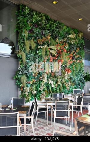 Linz, Österreich - 24. Oktober 2012: Die Hauptstadt Oberösterreichs war 2009 europäische Kulturhauptstadt, grüne Mauer auf der Terrasse einer Bar in der Besetzung Stockfoto