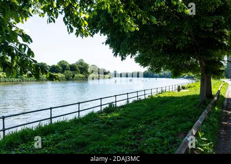 Paddelboarder auf der Themse in der Nähe von Chiswick. Stockfoto