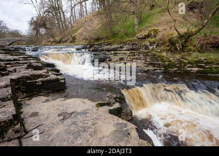 Stainforth Force auf dem River Ribble in der Nähe in der Yorkshire Dales National Park Stockfoto