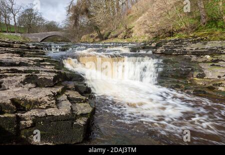 Stainforth Force auf dem River Ribble in der Nähe in der Yorkshire Dales National Park Stockfoto