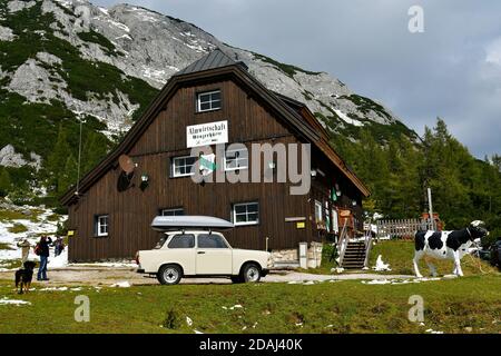 Tauplitz, Österreich - 24. September 2017: Nicht identifizierte Touristen, Plastikkuh und Oldtimer Trabant 601 der Spitzname war Trabi auf Grazer Berggasthof Stockfoto