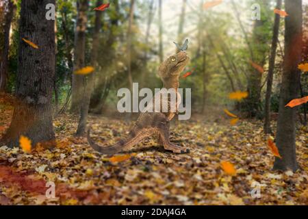 Niedliches Baby Tyrannosaurus rex in einem Wald mit fallenden Blättern im Herbst. Schmetterling, der auf der Schnauze ruht. Konzept der Ruhe und Frieden in einem magischen AT Stockfoto