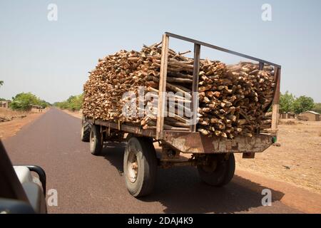 Selingue, Mali, 25. April 2015; Holzschnitt für Brennholz, der in die Stadt transportiert wird. Stockfoto