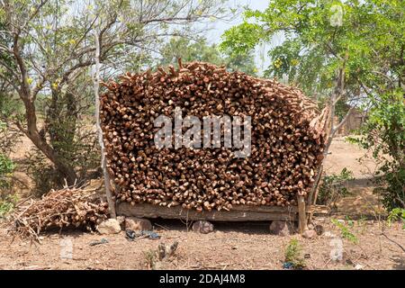 Selingue Gebiet, Mali, 25. April 2015; Holzschnitt für Brennholz zum Verkauf am Straßenrand. Stockfoto