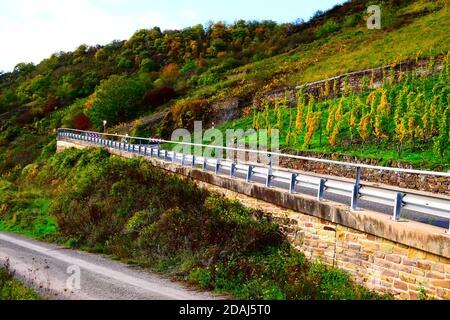 Serpentinenstraße durch die Weinberge oberhalb von Pommern an der Mosel Stockfoto