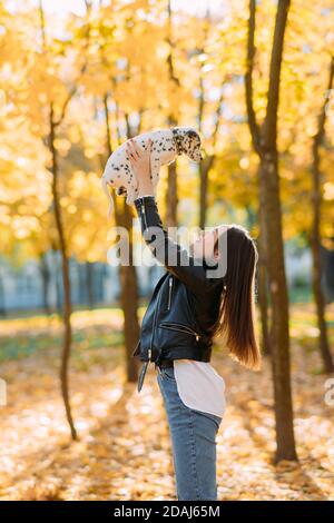 Junge Frau spielt mit dem Welpen des dalmatinischen Hundes während des Spazierens im Herbstpark. Stockfoto