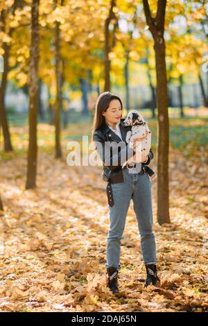 Junge Frau hält Welpen von dalmatinischen Hund in den Händen, während sie im Herbstpark spazieren geht. Stockfoto