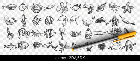 Marine Life Doodle Set Stock Vektor