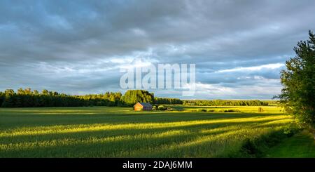 Landschaft im Sommer, Südwestfinnland Stockfoto
