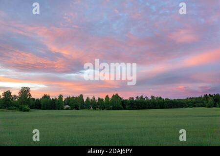 Landschaft im Sommer, Südwestfinnland Stockfoto