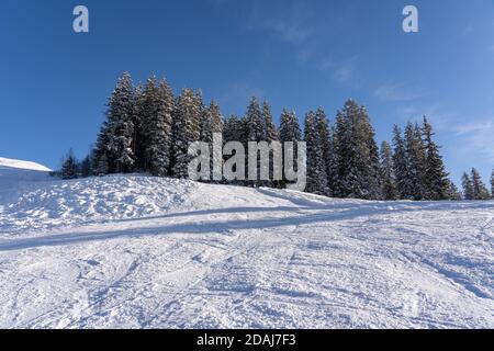 Schneebedeckte Hügel mit gefrorenem Wald gegen blauen Himmel mit weißen Lichtwolken. Hasliberg, Schweiz. Speicherplatz kopieren. Stockfoto