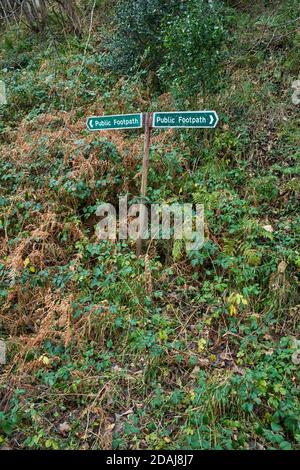 Öffentliche Fußwegschilder setzen amonst Brambles, Farne und Unterholz Stockfoto