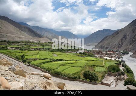 Nepalesisches Dorf von Kagbeni, mit Obstgärten, liegt im Tal des Himalaya. Trekking zum Oberen Mustang. Nepal. Stockfoto