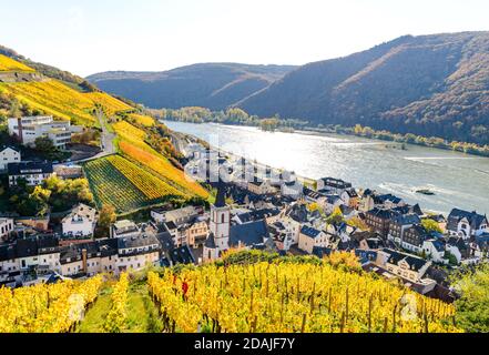 Kirche, Häuser und Weinberge in Assmanshausen im farbenprächtigen gelben Herbst. Oberes Mittelrheintal (Mittelrhein), nahe Rüdesheim am Rhein, Lor Stockfoto