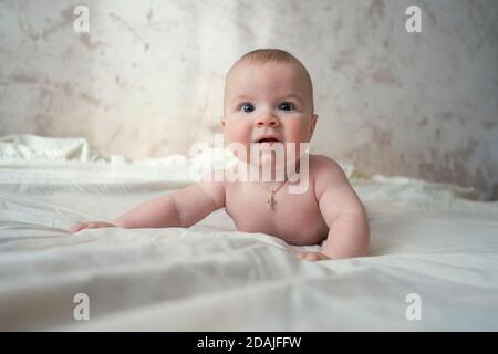 Niedliches, vier Monate altes Baby liegt auf dem Bauch, erhebt sich auf den Händen und schaut lächelnd auf die Kamera Stockfoto