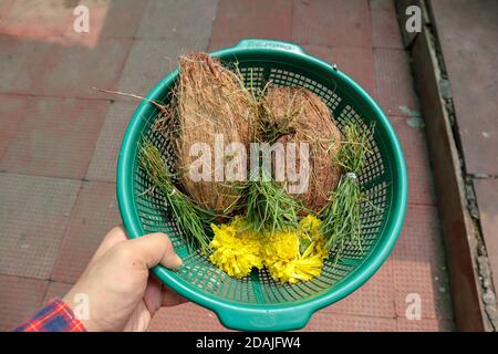 Kokos- und Blumenopfer für Gott in hinduistischen religiösen Zeremonien oder heiligen Festivals in indischen Tempeln. Stockfoto