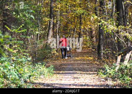 А der Mensch schiebt einen Kinderwagen auf einem Weg im Wald, unter den Herbstblättern. Stockfoto