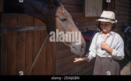 Little Girl füttert Vollblutpferd. Brown Stute blickt hinter Stall oder Paddock Tor und nimmt zart behandeln von Palm of Girl. Seitenansicht Stockfoto