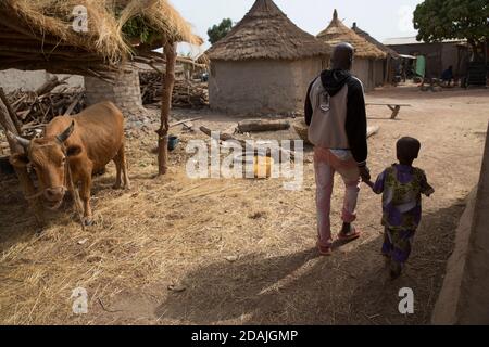 Dorf Tanga, Region Selingue, Mali, 27. April 2015; Mamadou Camara, 42, ist Landwirt. Als 12-jähriger Junge lebte er mit seiner Familie in Tangakoro, am Fluss, bevor der Damm gebaut wurde. Das Leben dort war einfacher, Wasser war reichlich für Rinder und Menschen, das Land war gut und sie wuchsen viel Nahrung. Als der Damm gebaut wurde, wurden Menschen von Tanga Koro aus in dieses Dorf verschleppt. Wegen des Staudamms wurden sie gezwungen, nach Tanga zu ziehen. Seine Eltern haben besonders gelitten, weil es hier in Tanga kein gutes Land und nicht genügend Trinkwasser gibt. Er möchte Gemüse anbauen, aber die Stockfoto