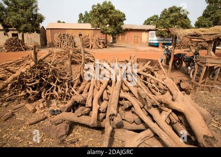 Dorf Tanga, Region Selingue, Mali, 27. April 2015; Bäume, die aus dem Wald für Brennholz geschnitten wurden, stapelten sich zum Verkauf. Stockfoto