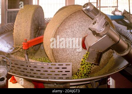 Extraktion von nativem Olivenöl extra aus Oliven durch kreisförmige Steinmühle in Italien Stockfoto