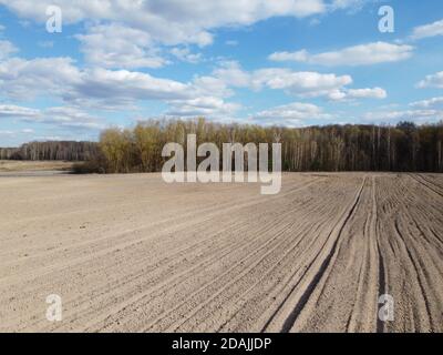 Ackerfeld in der Nähe des Waldes an einem sonnigen Tag, Luftbild. Agrarbereich. Stockfoto