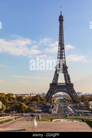 Blick auf den Eiffelturm vom Trocadero. Pariser und Touristen genießen einen sonnigen Herbsttag. Tauben im Vordergrund Stockfoto
