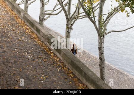 PARIS, FRANKREICH - 09. Nov 2017: Pariser und Touristen wandern und ruhen sich am seine-Ufer in Paris aus Stockfoto