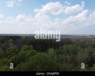 Blauer wolkiger Himmel über einem dichten Wald, Luftaufnahme. Schöner wolkig Himmel über dem Wald. Stockfoto