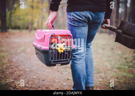 Thema ist der Tod des Haustieres. Rückansicht des Mannes, der entlang Waldweg geht und Schaufel in einer Hand zum Graben Grab trägt, und in anderen Transportbox mit Stockfoto
