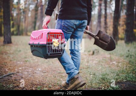 Thema ist der Tod des Haustieres. Rückansicht des Mannes, der entlang Waldweg geht und Schaufel in einer Hand zum Graben Grab trägt, und in anderen Transportbox mit Stockfoto