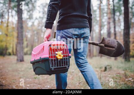 Thema ist der Tod des Haustieres. Rückansicht des Mannes, der entlang Waldweg geht und Schaufel in einer Hand zum Graben Grab trägt, und in anderen Transportbox mit Stockfoto