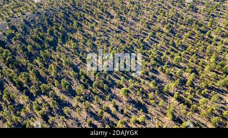 Drohnenansicht des Sunset Crater und der Umgebung in Coconino County Arizona Stockfoto