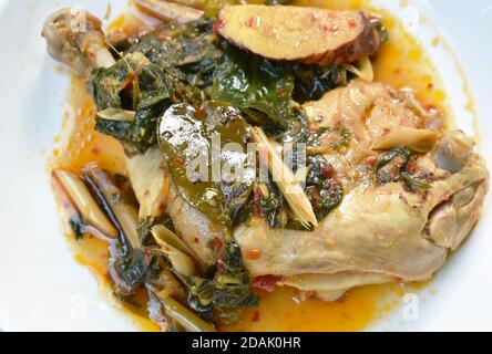 Gedünstetes, würziges Hühnerschenkel und -Bein mit Kräutern und Chili Auf blass Stockfoto