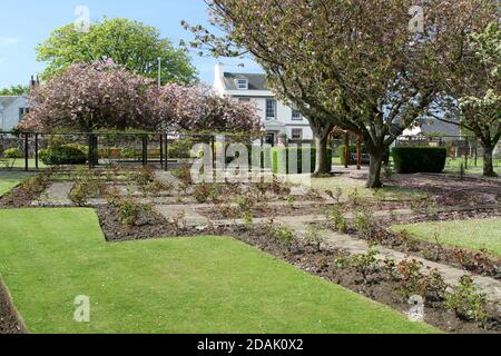 Girvan Orchard Park Spring, Ayrshire, Schottland, Großbritannien . Orchard Gardens sind wunderschöne Gärten mit krautigen Rändern, formellen Teich und formalen Blumenbeeten, die immer voller Farbe sind die umgebende Wand bietet Schutz vor der Küstenbrise, während die Sonne immer einen Weg in! Das macht den Garten zum perfekten Ort zum Ausruhen, Lesen oder einfach nur die Wärme der Sonne genießen. Stockfoto