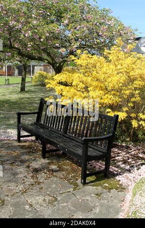 Girvan Orchard Park Spring, Ayrshire, Schottland, Großbritannien . Orchard Gardens sind wunderschöne Gärten mit krautigen Rändern, formellen Teich und formalen Blumenbeeten, die immer voller Farbe sind die umgebende Wand bietet Schutz vor der Küstenbrise, während die Sonne immer einen Weg in! Das macht den Garten zum perfekten Ort zum Ausruhen, Lesen oder einfach nur die Wärme der Sonne genießen. Stockfoto