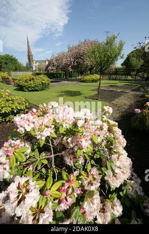 Girvan Orchard Park Spring, Ayrshire, Schottland, Großbritannien . Orchard Gardens sind wunderschöne Gärten mit krautigen Rändern, formellen Teich und formalen Blumenbeeten, die immer voller Farbe sind die umgebende Wand bietet Schutz vor der Küstenbrise, während die Sonne immer einen Weg in! Das macht den Garten zum perfekten Ort zum Ausruhen, Lesen oder einfach nur die Wärme der Sonne genießen. Stockfoto