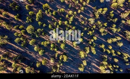 Drone Blick auf den Sunset Crater National Monument Umgebung Arizona Stockfoto