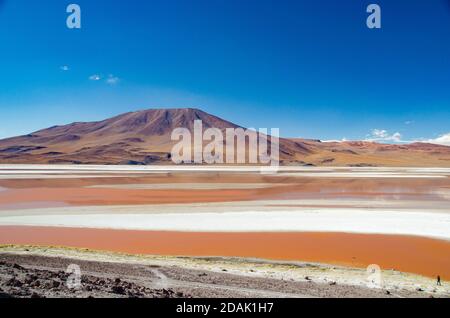 Wunderschöne Lagune in Salar de Uyuni, Bolivien. Ein Paradies für Wildtiere wie Lamas, Alpakas und Flamingos Stockfoto